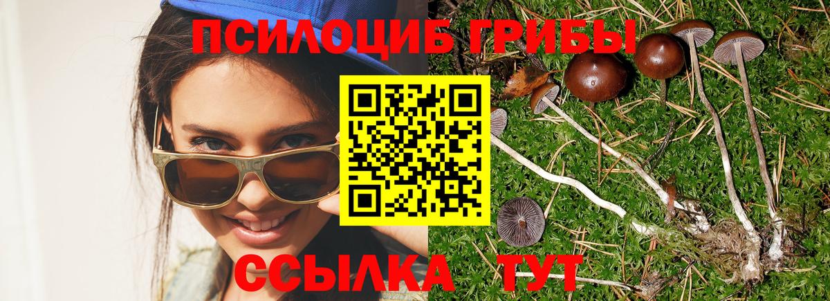 Псилоцибиновые грибы MAGIC MUSHROOMS Можга