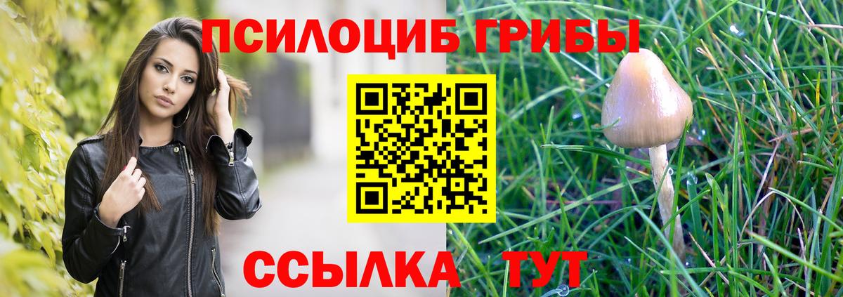 Псилоцибиновые грибы GOLDEN TEACHER  Псилоцибиновые грибы GOLDEN TEACHER  Можга  Вход с VPN 